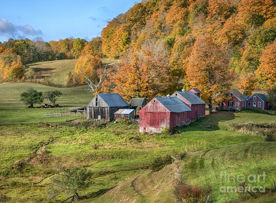 The Farm Photograph by Claudia Kuhn | Fine Art America