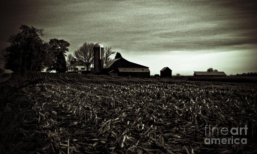 The Farm Photograph by Randall Cogle