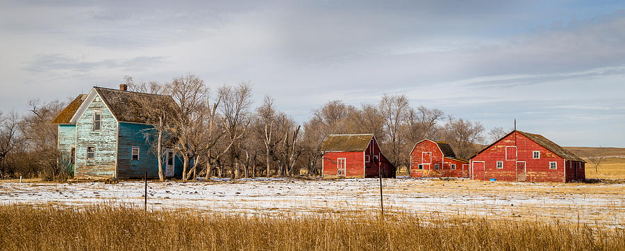 The Farm Yard Photograph by Chad Rowe