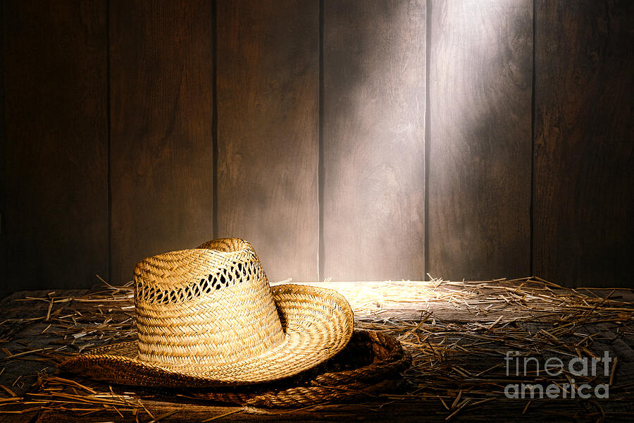 Hat Photograph - The Farmer Hat by Olivier Le Queinec