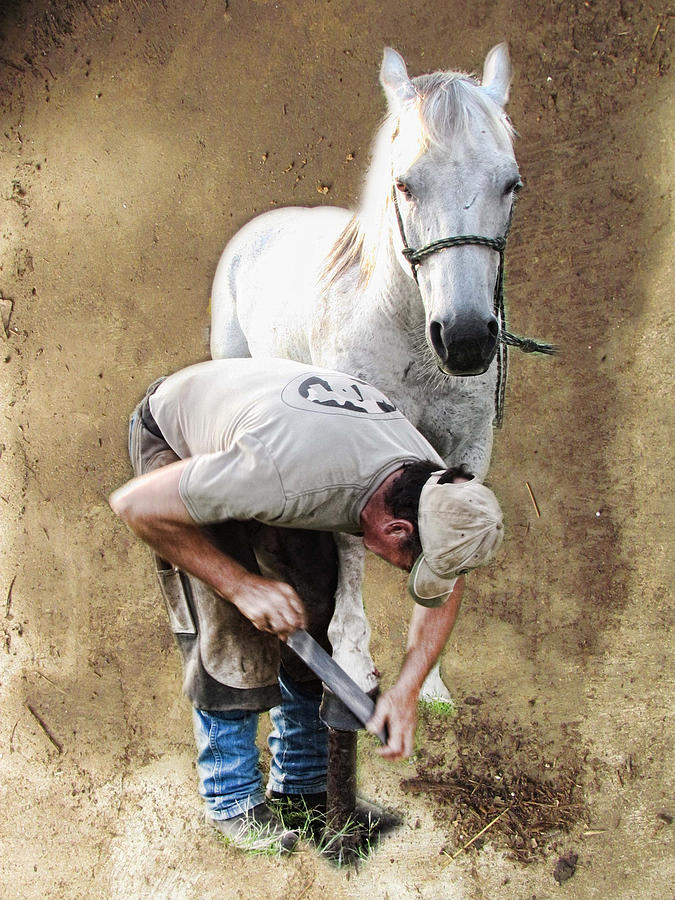 The Farrier 3 Photograph by Shannon Story