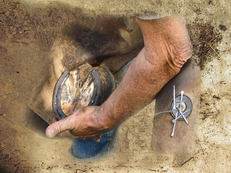 Horse Photograph - The Farrier 4 by Shannon Story