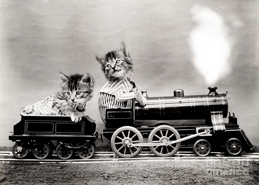 The Fast Express 1914 Photograph by Science Source