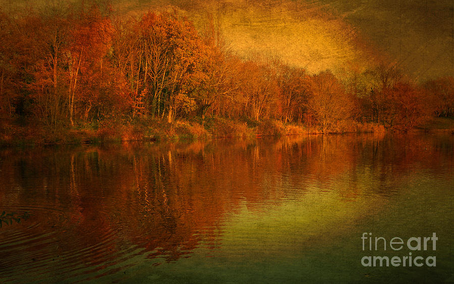 Fall Photograph - The Feel Of Fall by David Birchall