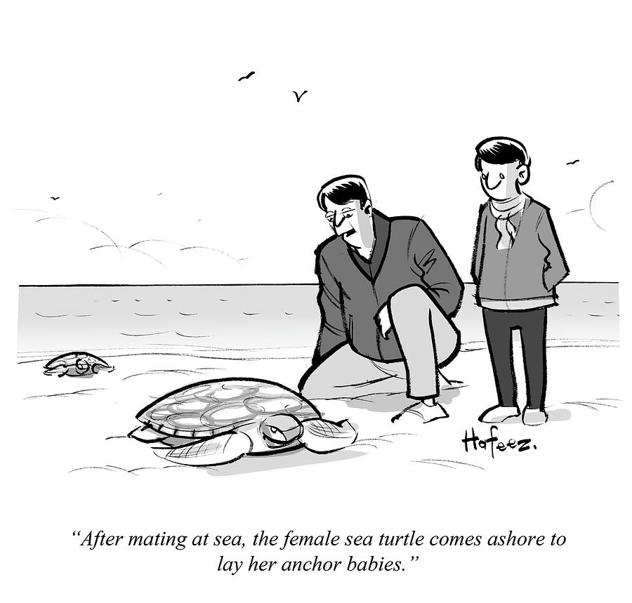 The Female Turtle Comes Ashore To Lay Her Anchor Drawing by Kaamran Hafeez