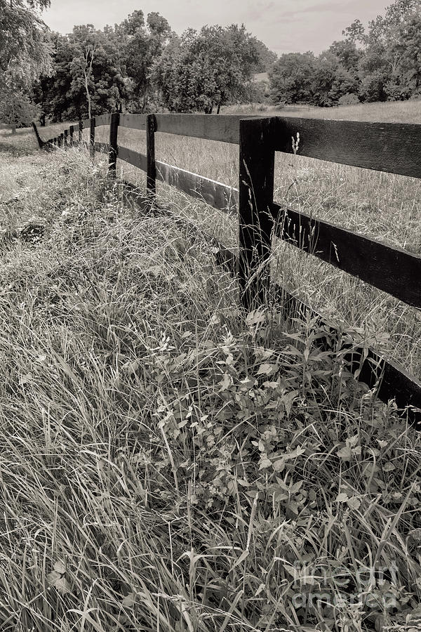 Landscape Photograph - The Fence-line by Arlene Carmel