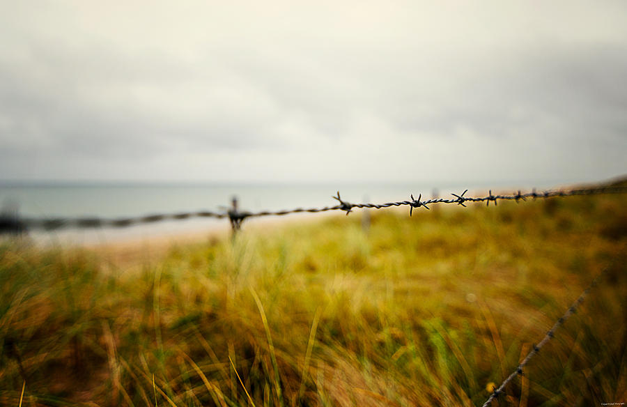 The Fence Photograph by Ryan Wyckoff