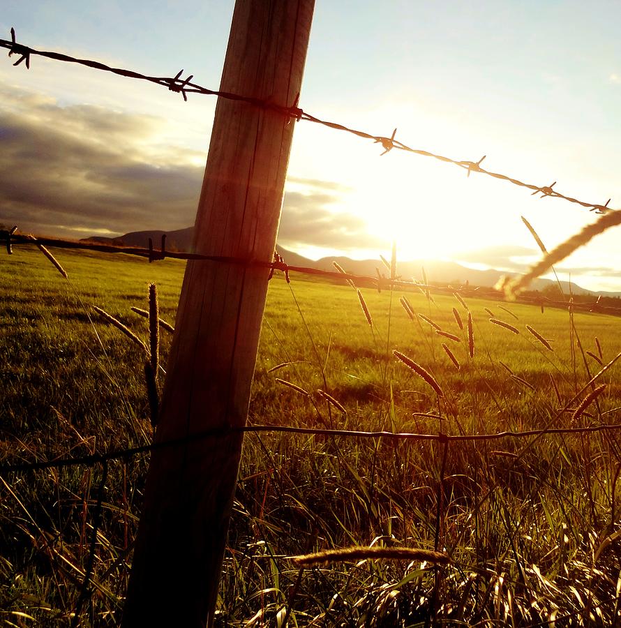 Sunset Photograph - The Fence by Sarah Pemberton