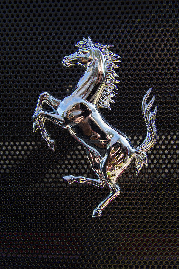 The Ferrari Horse Photograph by Roger Mullenhour