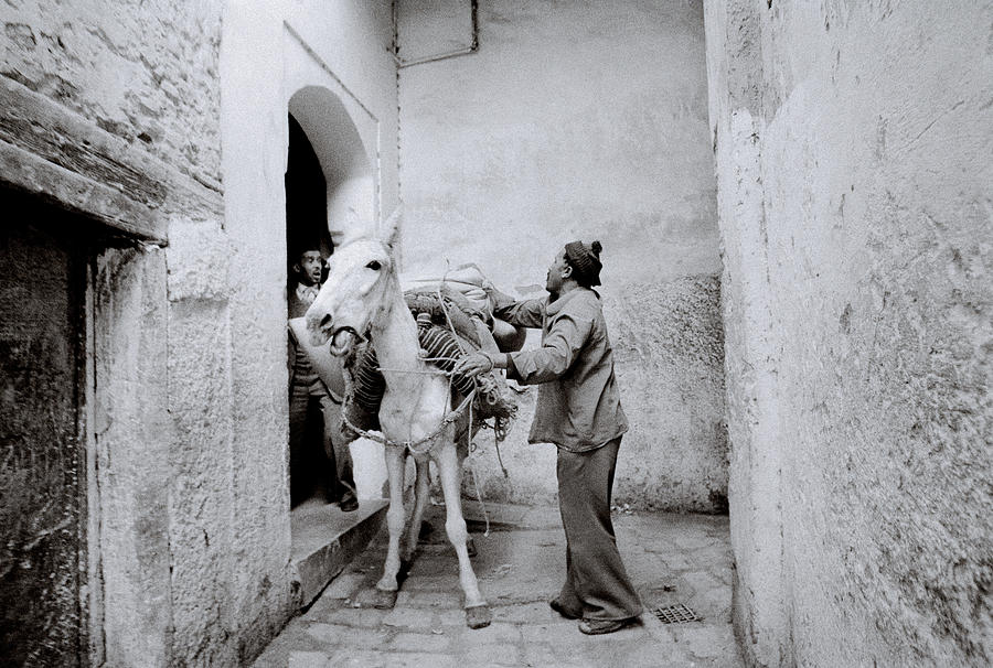 The Fez Casbah Photograph by Shaun Higson