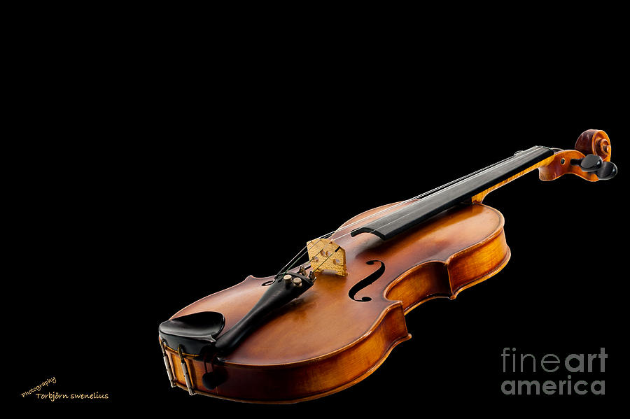 The Fiddle Photograph by Torbjorn Swenelius