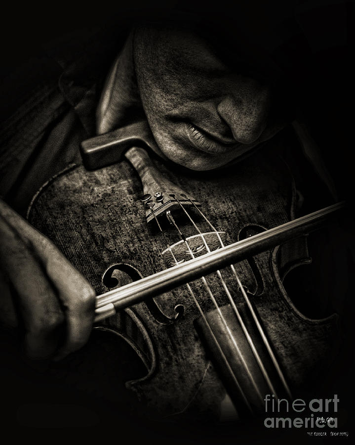 The Fiddler Photograph by Pedro L Gili