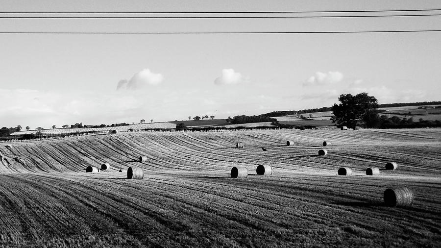 The Field Looks Out Photograph by See Me On Flickr Account-metal543