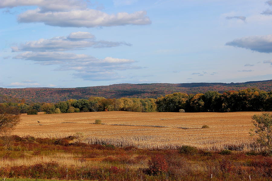 The Fields Are Ripe For Harvest II Photograph by Brian Lucia - Fine Art ...