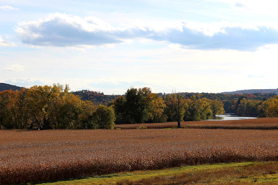 The Fields Are Ripe For Harvest III Photograph by Brian Lucia - Fine ...