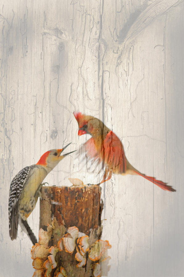 The Fight Painted on wood grain Photograph by Randall Branham