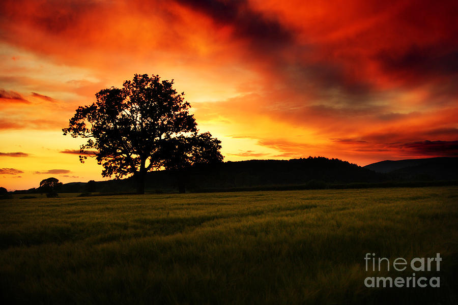 Sunset Photograph - the Fire on the Sky by Ang El