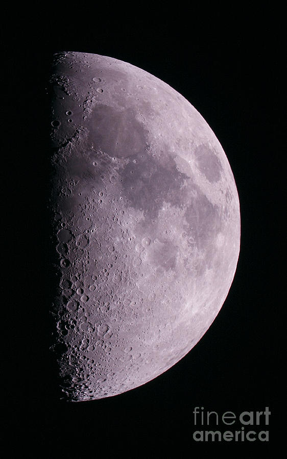 The First Quarter Moon Photograph by John Chumack