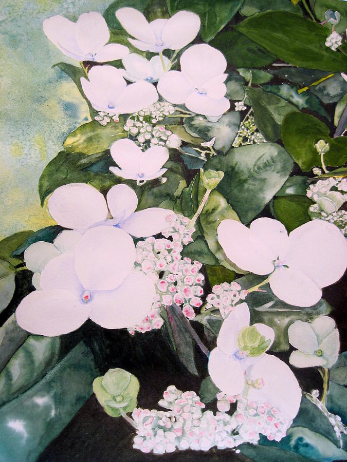 The First White Flowers Painting by Joann Perry Fine Art America