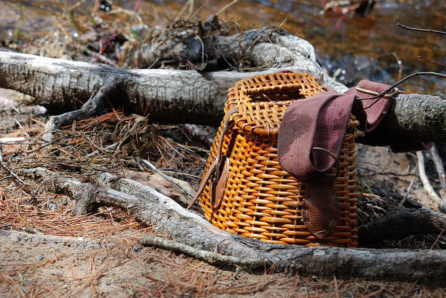 The Fishing Basket Photograph by Janice Adomeit