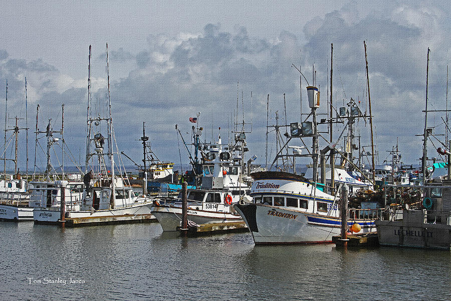 The Fishing Boats At Westport Photograph by Tom Janca