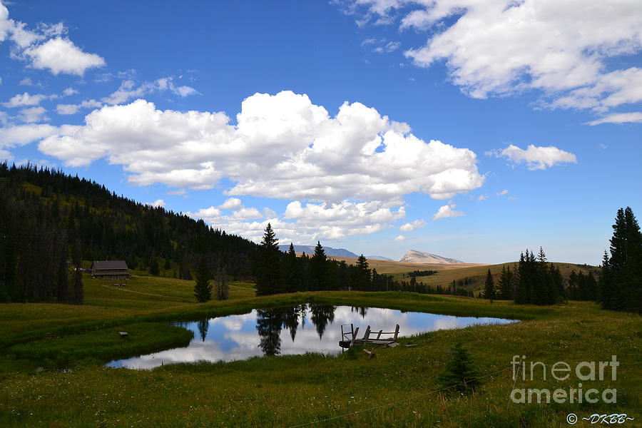 The Fishing Hole by Dorrene BrownButterfield The Fishing Hole by Dorrene BrownButterfield