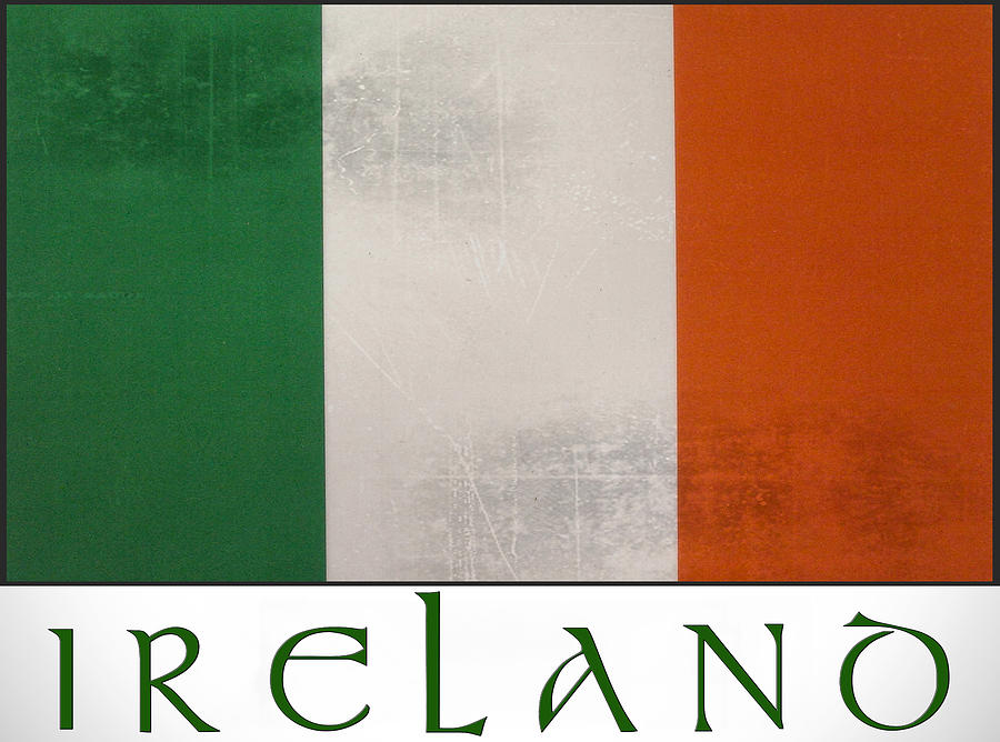 The Flag of Ireland Photograph by Bill Cannon