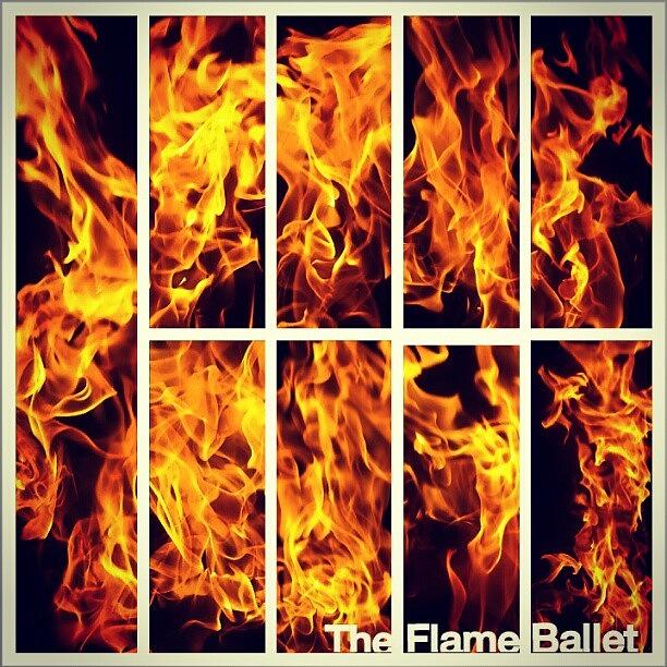 Nature Photograph - The Flame Ballet by Clay Pritchard