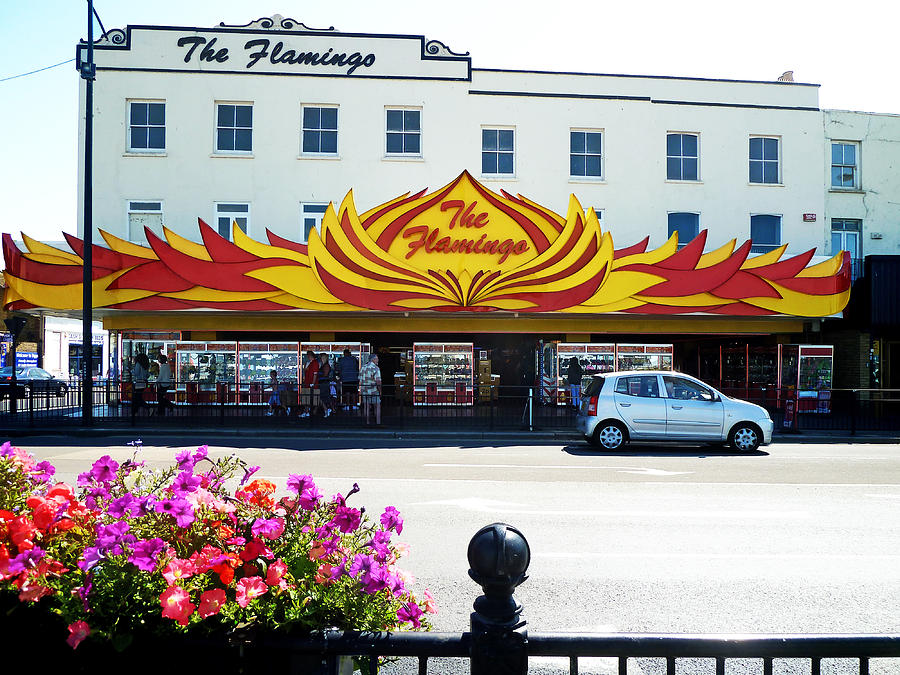 The Flamingo at Margate Photograph by Steve Taylor