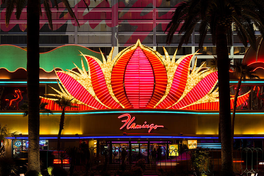 Flamingo Photograph - The Flamingo Hotel and Casino Las Vegas by Clint Buhler