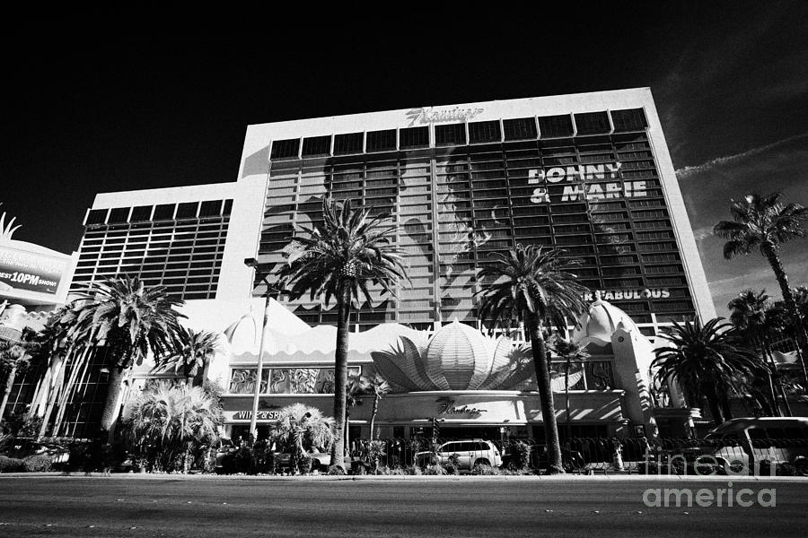 Flamingo Photograph - the flamingo hotel casino Las Vegas Nevada USA by Joe Fox