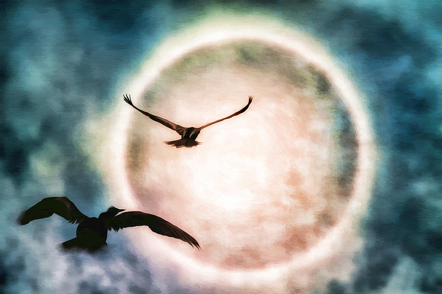 The Flight Digital Art by Donna Kirby - Fine Art America