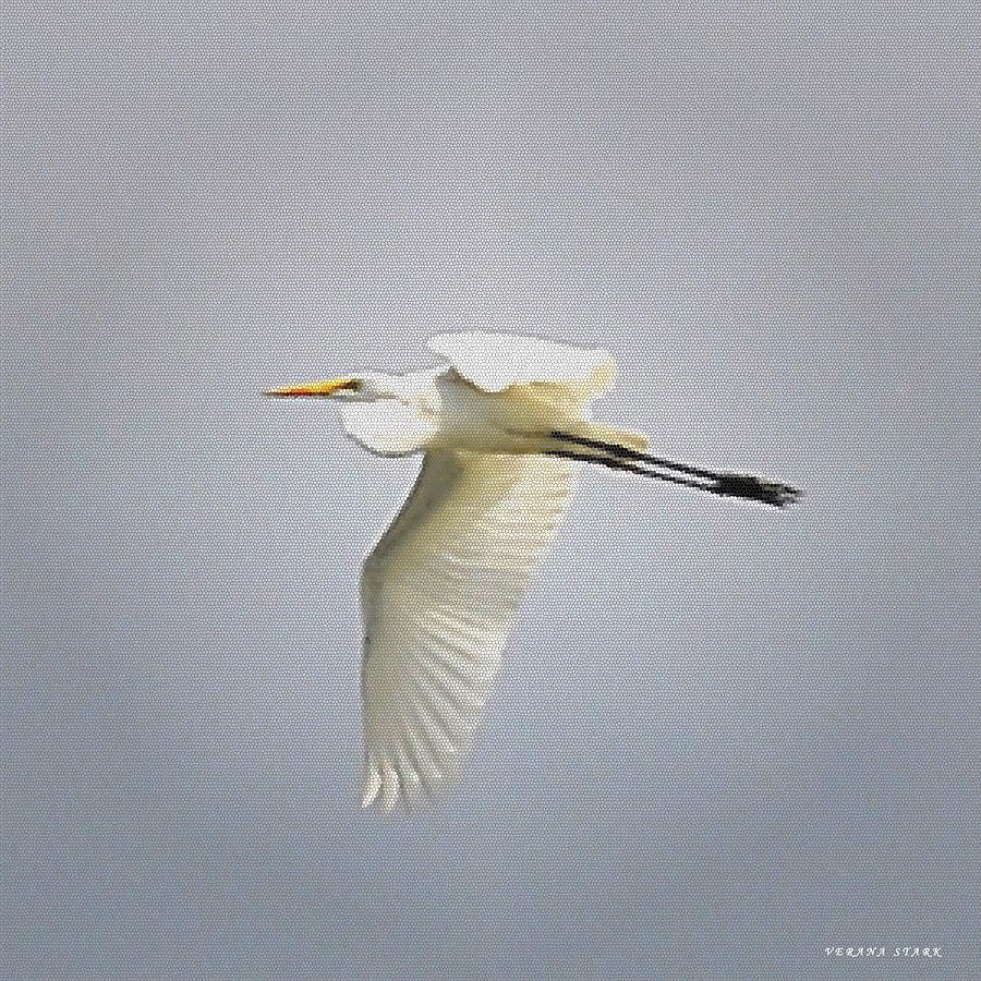 The Flight of the Great Egret with the Stained Glass Look Photograph by Verana Stark