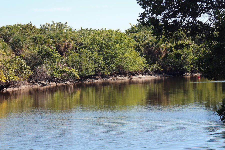 The Florida Everglades Photograph by Audrey Robillard