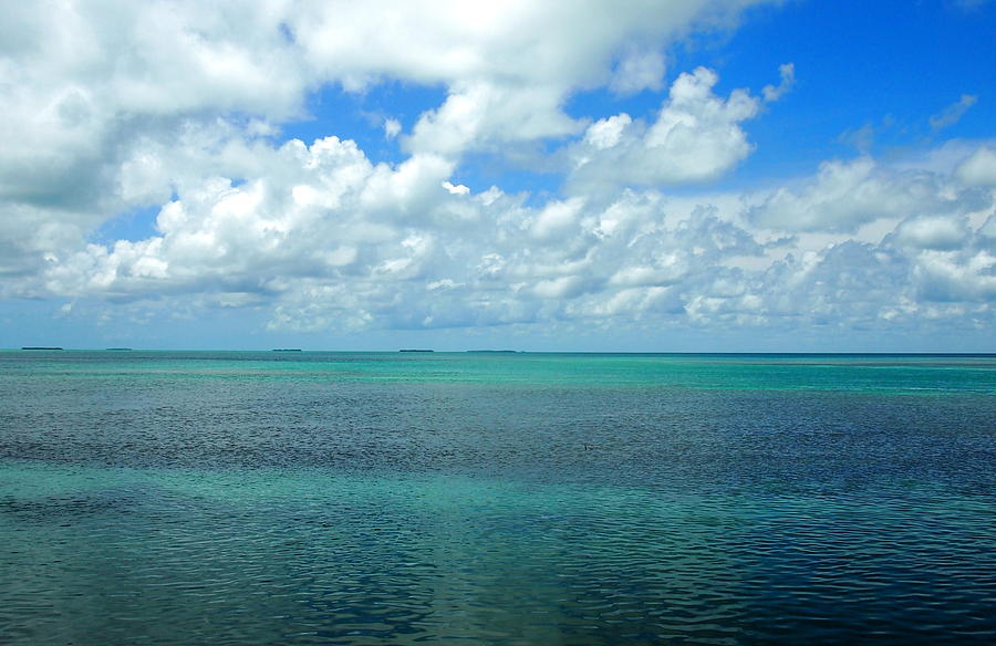 The Florida Keys Photograph by Amy McDaniel