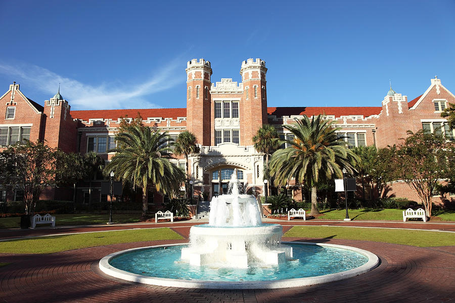 The Florida State University Photograph by DenisTangneyJr