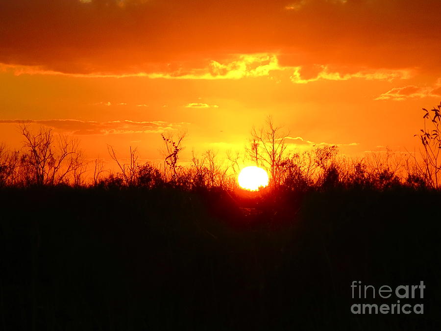 The Florida Sun setting in the Loxahatchee State Park. Photograph by Robert Birkenes