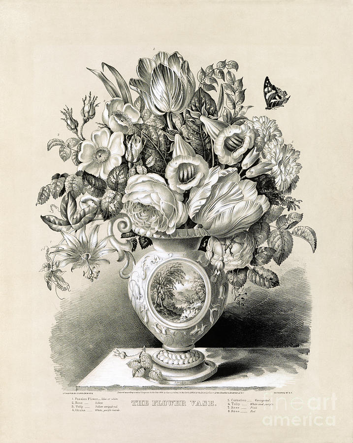 The flower vase - 1859 Drawing by Pablo Romero