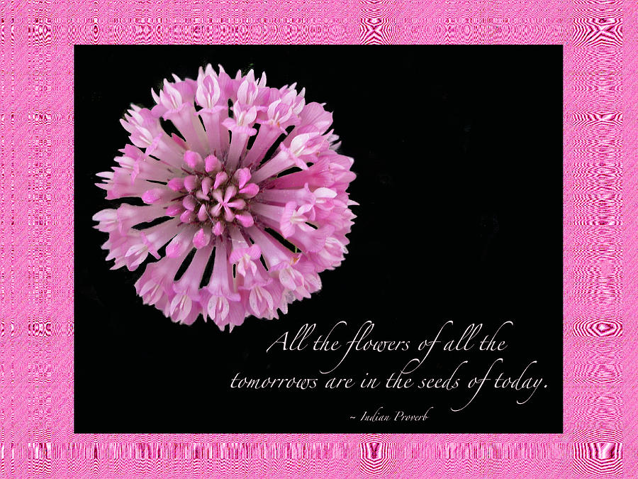 The Flowers Of Tomorrow - Pink Clover With Quote Photograph by Carol Senske