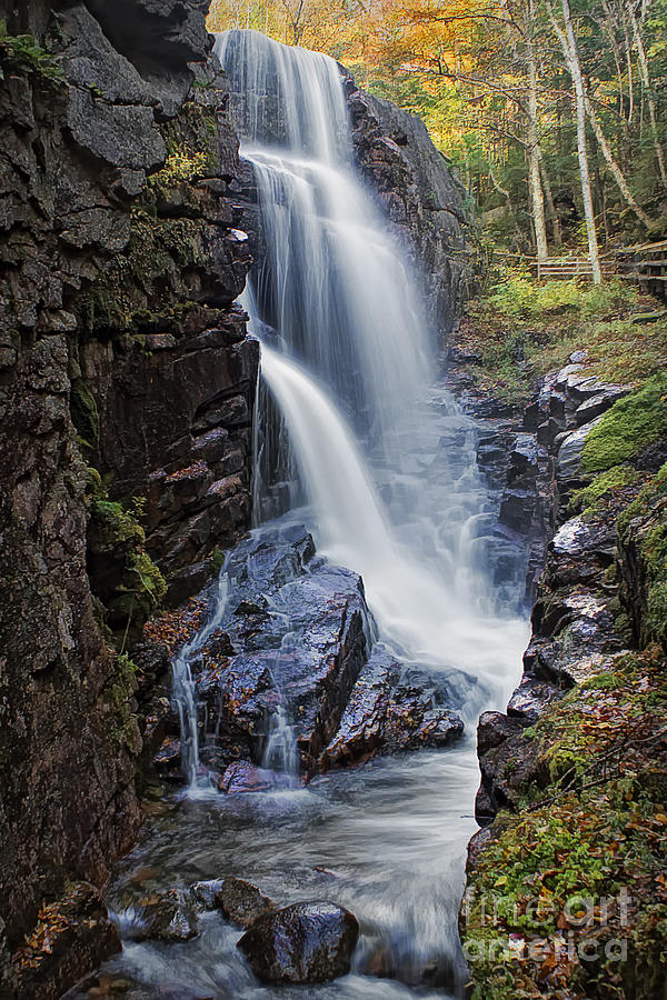 The Flume at Franconia Notch New Hampshire Photograph by Priscilla Burgers
