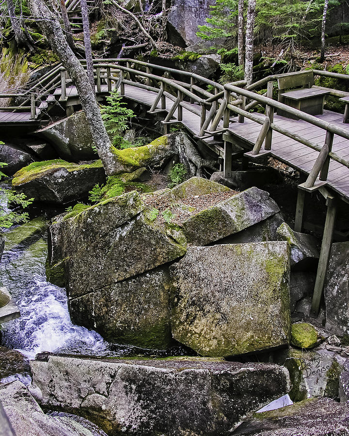 Walkways Photograph - The Flume by Betty Denise