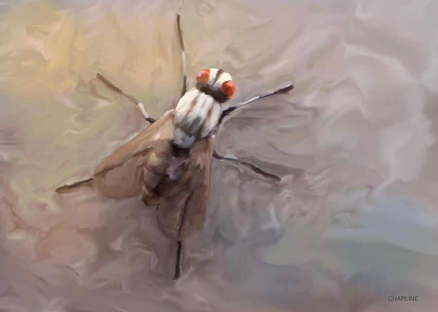 Insects Digital Art - The Fly by Curtis Chapline
