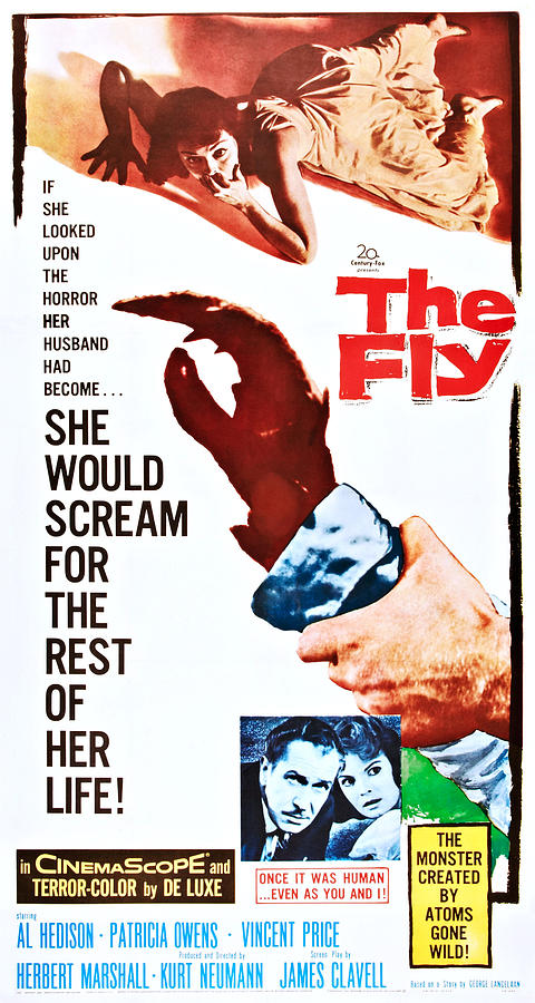 The Fly, Top Patricia Owens, Inset L-r Photograph by Everett