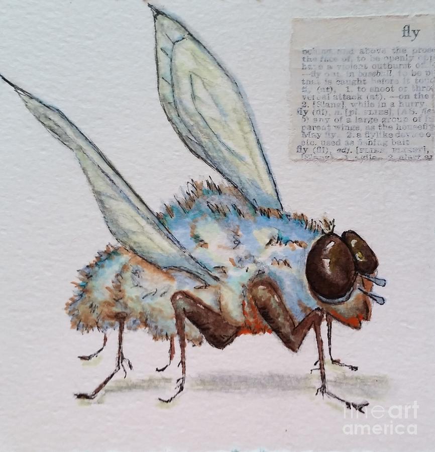 The Fly or RBG Drawing by Vickie Scarlett-Fisher