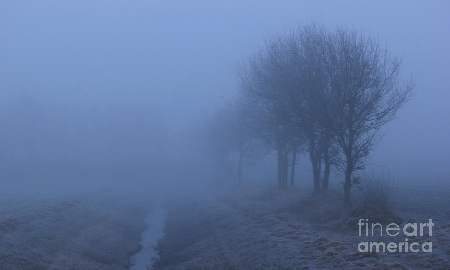 The Fog Photograph