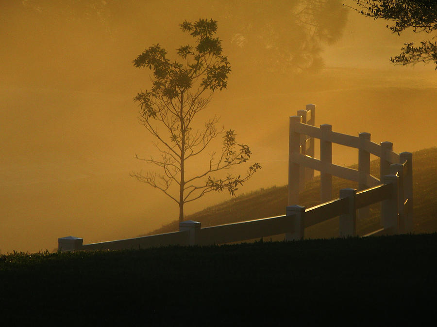 The Fog Photograph by Oscar Alvarez Jr