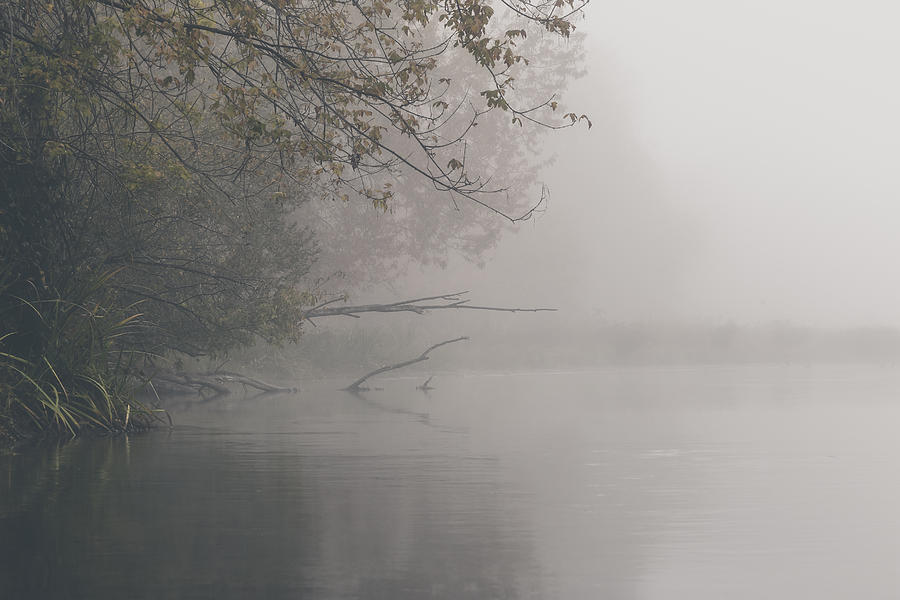 The Foggy American River Photograph by Lee Harland