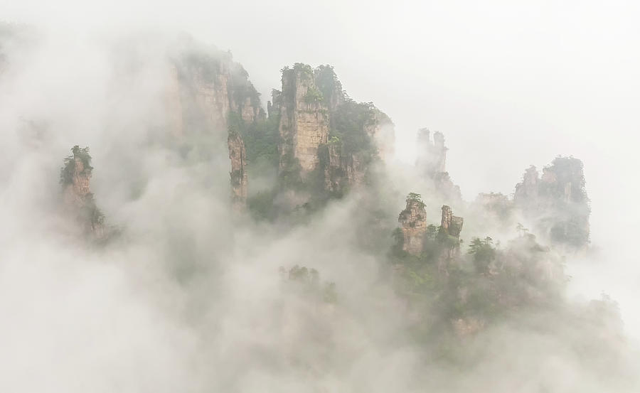 Tree Photograph - The Foggy Peaks by David Hua