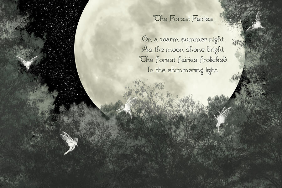 The Forest Fairies Photograph by Randi Kuhne