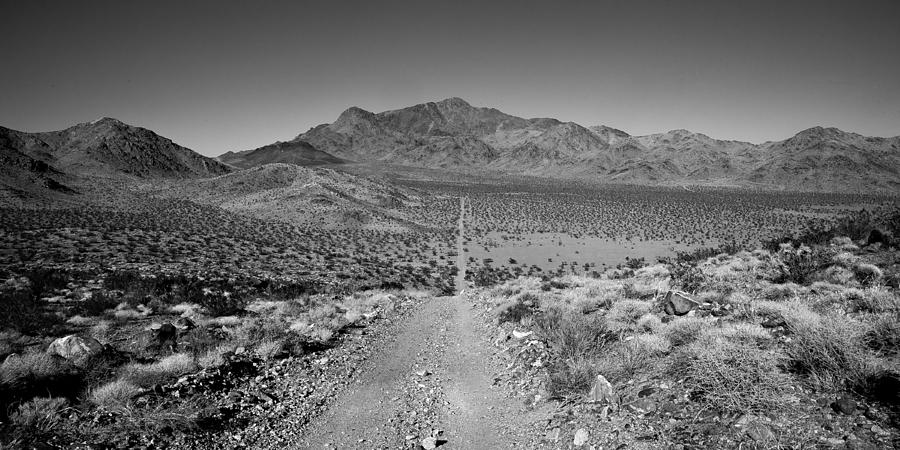 Desert Photograph - The Forever Road by Peter Tellone